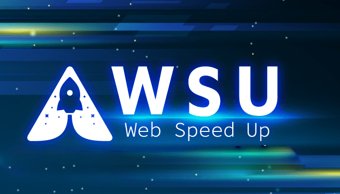 Dịch vụ tối ưu trang web - WSU