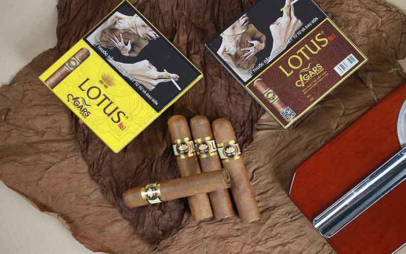 cửa hàng xì gà Cigar Viet